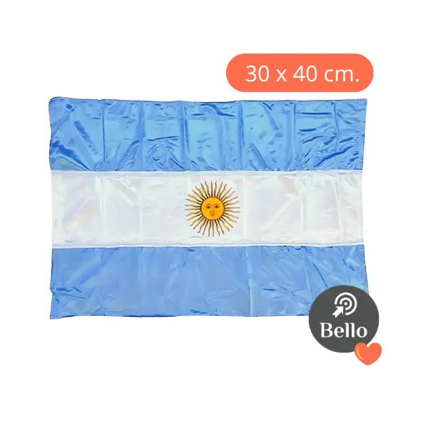 Bandera Argentina 30 x 40 cm.